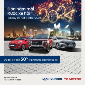 ĐÓN NĂM MỚI – RƯỚC XE HỜI
